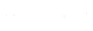 Elementor Pro